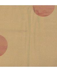 Dots and Squigglies